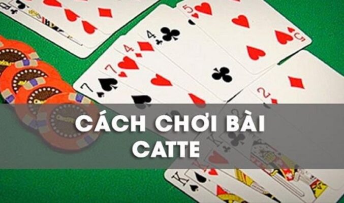 Thuật ngữ được sử dụng trong bài Catte phổ biến